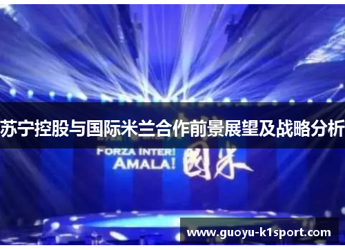 苏宁控股与国际米兰合作前景展望及战略分析 苏宁控股与国际米兰合作前景展望及战略分析